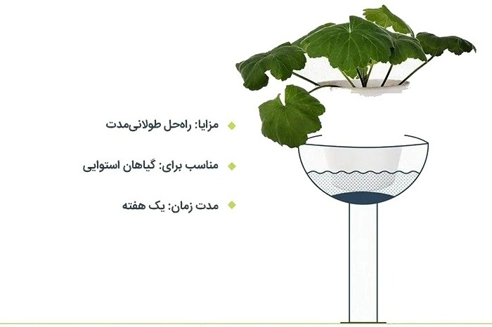 روش های ساده برای آبیاری گیاهان در سفر طولانی روش های ساده برای آبیاری گیاهان در سفر طولانی