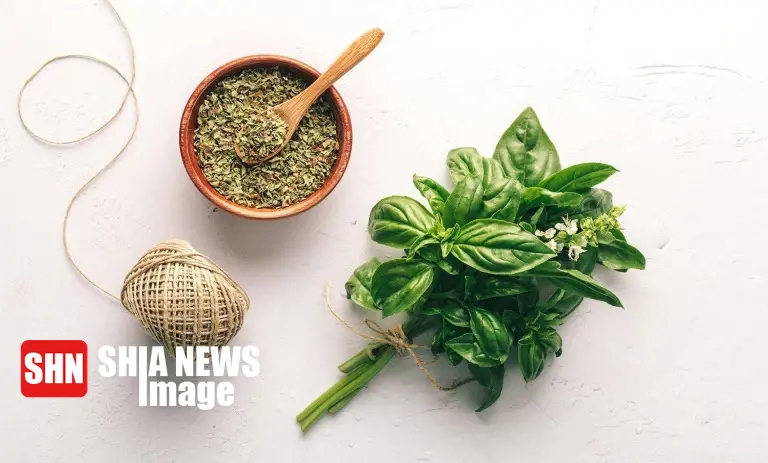 بهترین روش نگهداری ریحان در یخچال