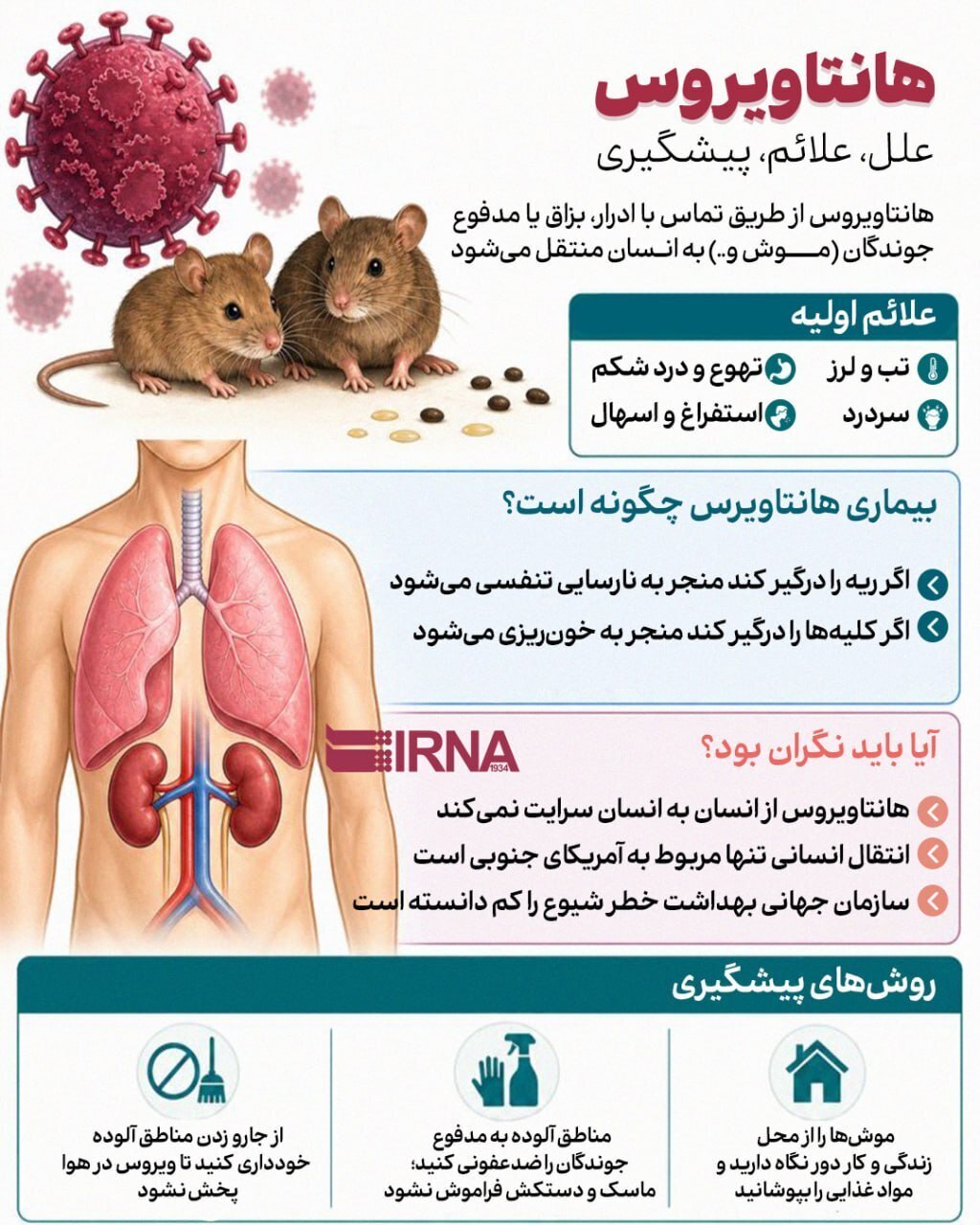 اینفوگرافی/ علائم ابتلا به هانتاویروس چیست؟ اینفوگرافی/ علائم ابتلا به هانتاویروس چیست؟