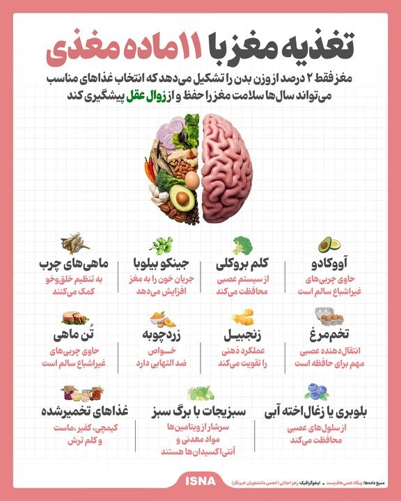 اینفوگرافیک | تغذیه مغز با ۱۱ ماده مغذی اینفوگرافیک | تغذیه مغز با ۱۱ ماده مغذی