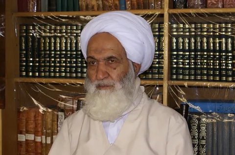 آیت الله دوزدوزانی: مملکت با این امکانات تبدیل به کشور «فقیر» شده است/ آیا دزدی زیاد است؟
