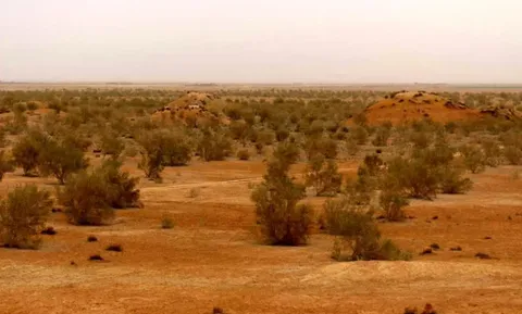  رایزنی عراق و ایران برای حل معضل گردوغبار فرامرزی