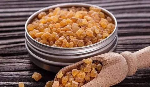 کندر بخوریم باهوش می‌شویم؟