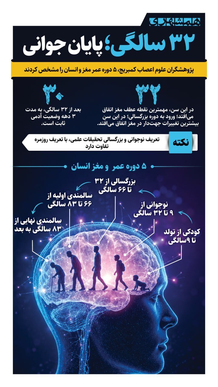 اینفوگرافیک | دوره‌بندی شگفت‌انگیز از ۵ دوره عمر مغز انسان