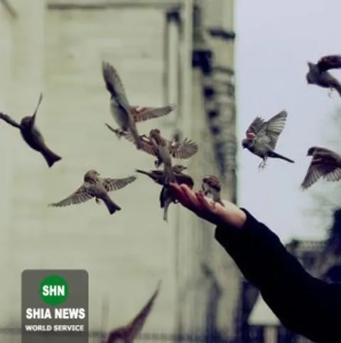 آزادى از منظر شیعه