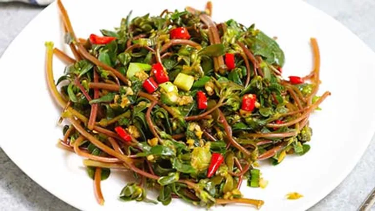 طرز تهیه انواع ترشی با خرفه