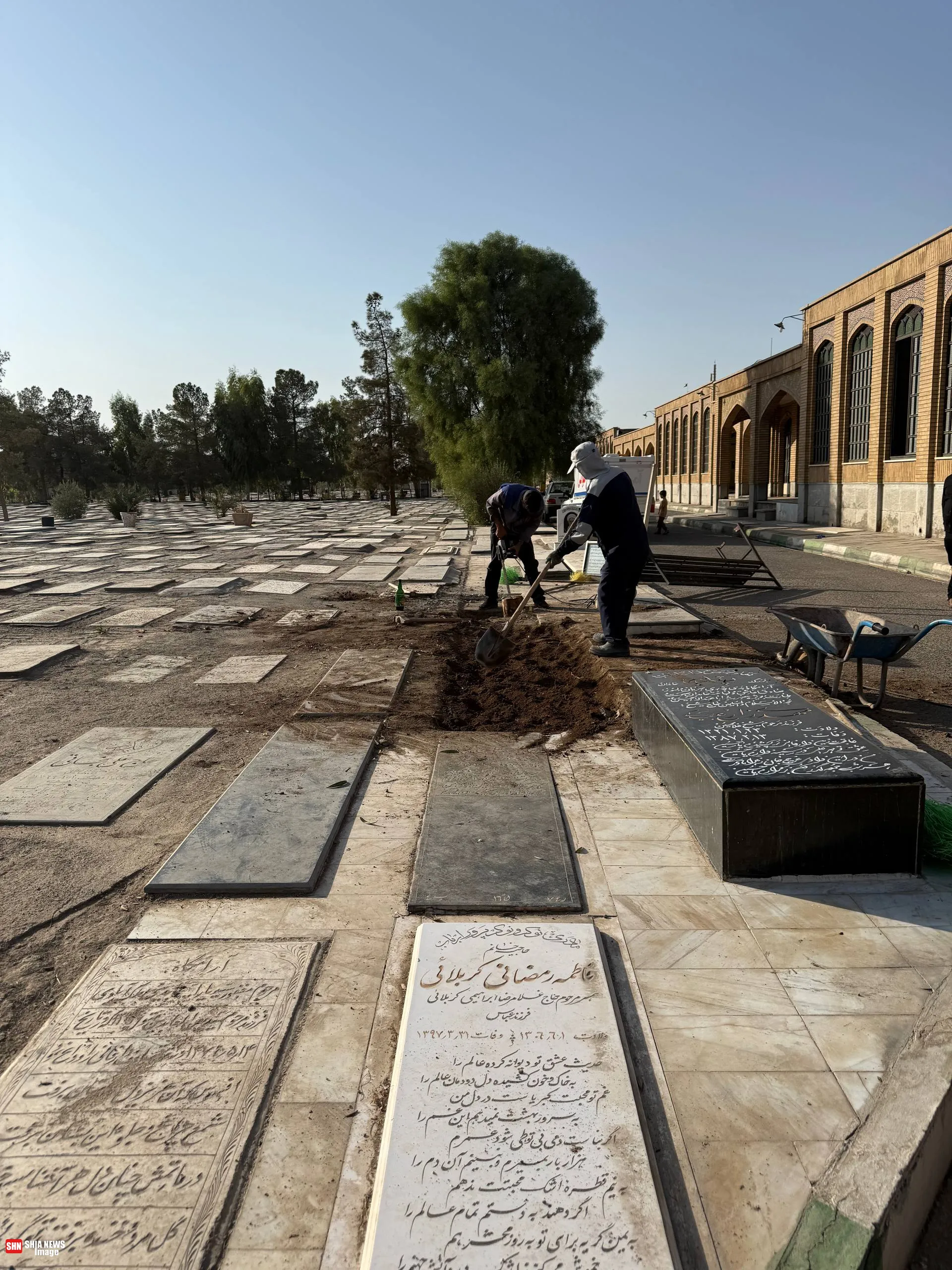 قطع درختان در قبرستان بقیع قم؛ آرامستان یا تجارت خانه بی اخلاقی !؟