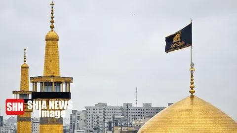 تصویر زیبا از حال و هوای زائران حرم امام رضا (ع)
