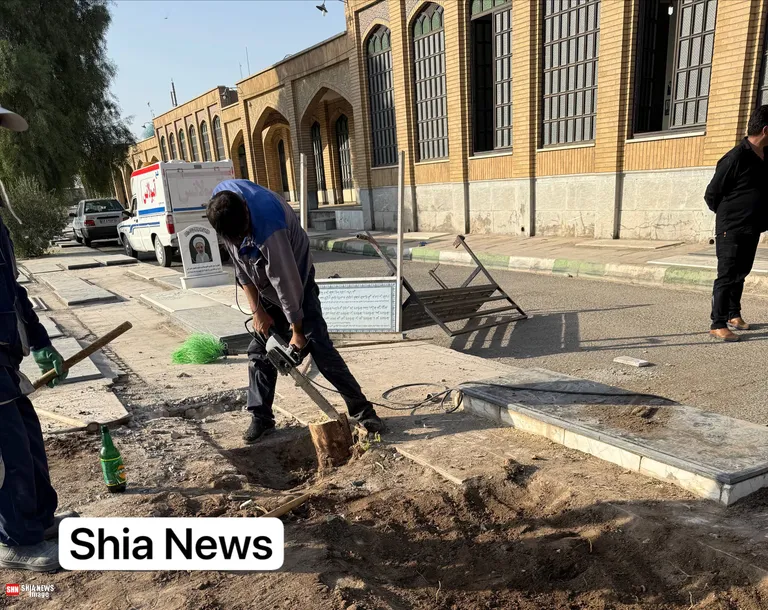 قطع درختان در قبرستان بقیع قم؛ آرامستان یا تجارت خانه بی اخلاقی !؟