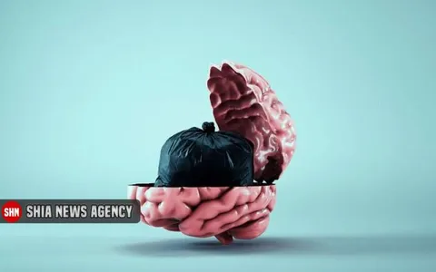 مغز چگونه خود را پاکسازی می‌کند؟