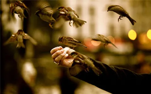 اَلْبَذْلُ مَادَّةُ اَلْإِمْكَان | بخشش ریشه توانمندى است