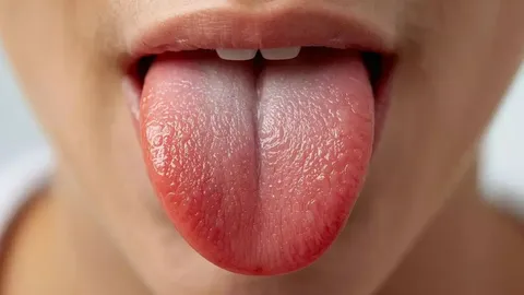 اینفوگرافیک | همه چیز درباره مهندسی بی نظیر زبان انسان