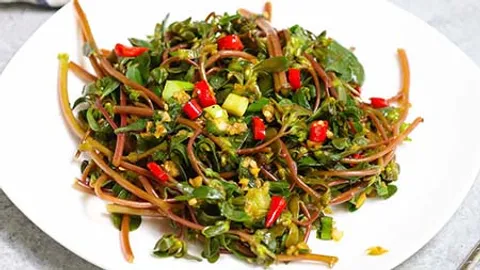طرز تهیه انواع ترشی با خرفه