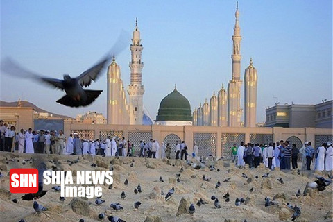 پناه بردن به رسول خدا برای رفع گرفتاری