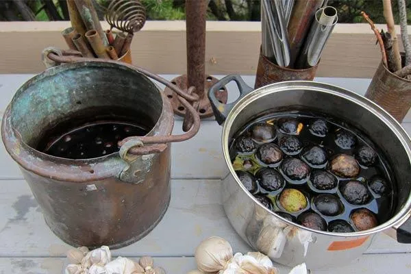 رنگ موی طبیعی با پوست گردو در خانه
