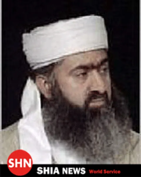 لاشخوران دعوت ؛ خرمگسان معرکه