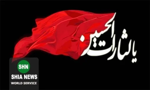 قیام توابین(۲)