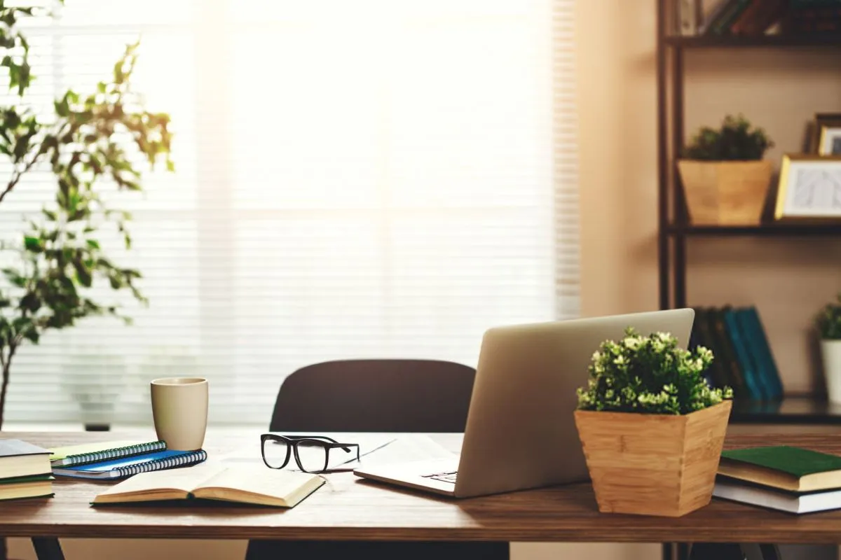گیاه مناسب برای میز کار گیاه مناسب برای میز کار