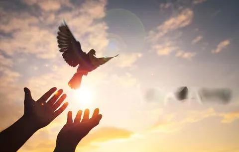 اَلْعَفْوُ أَفْضَلُ اَلْإِحْسَانِ | گذشت برترین نیکى ها است