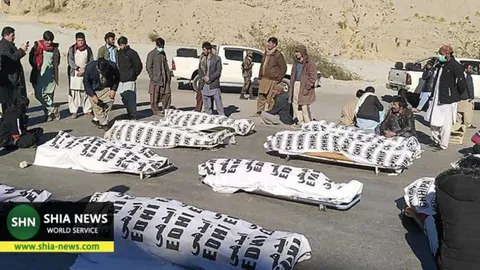 رهبر شیعیان پاکستان برخورد قاطع با عناصر تکفیری را خواستار شد