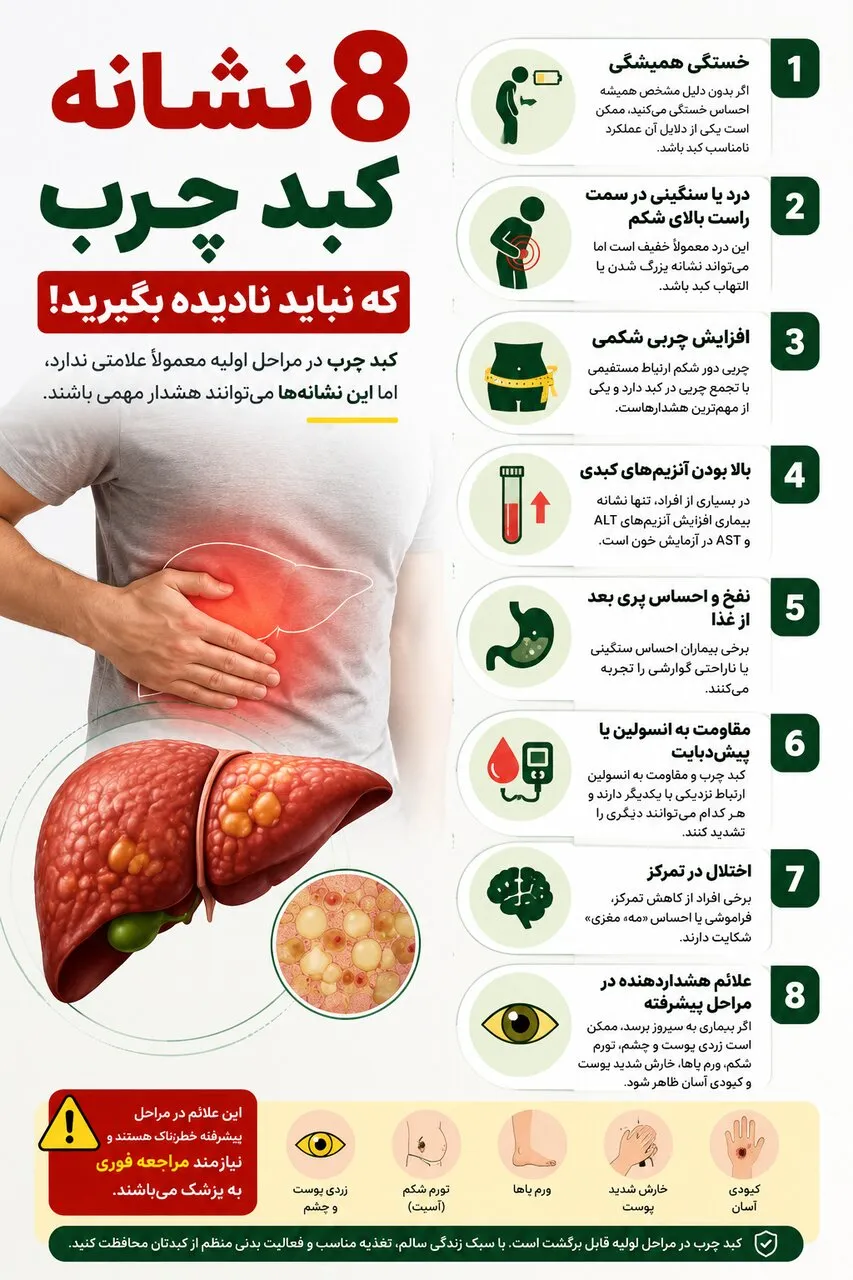 چگونه از کبد خود محافظت کنیم؟ چگونه از کبد خود محافظت کنیم؟