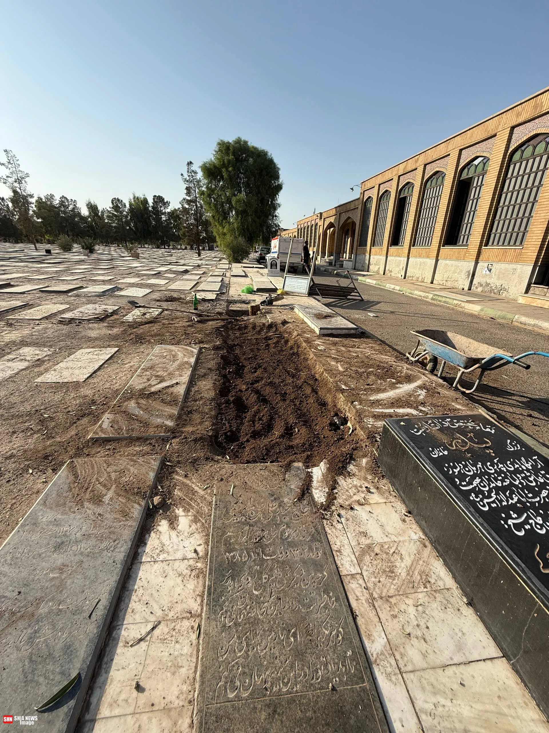 قطع درختان در قبرستان بقیع قم؛ آرامستان یا تجارت خانه بی اخلاقی !؟