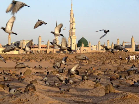 حضور معنوی زائران سرزمین وحی در قبرستان بقیع