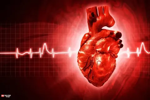 ۴ راهکار مهم برای جوان نگه داشتن قلب