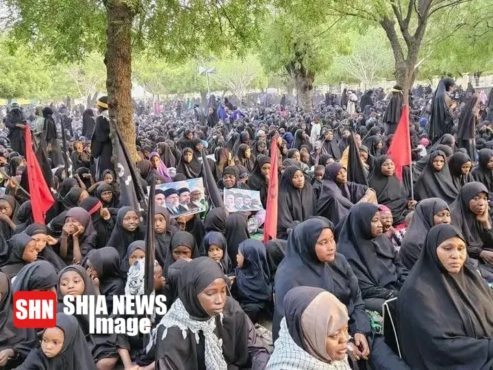 تصاویر | گسترش چشمگیر مراسم محرم در نیجریه و نیجر تصاویر | گسترش چشمگیر مراسم محرم در نیجریه و نیجر