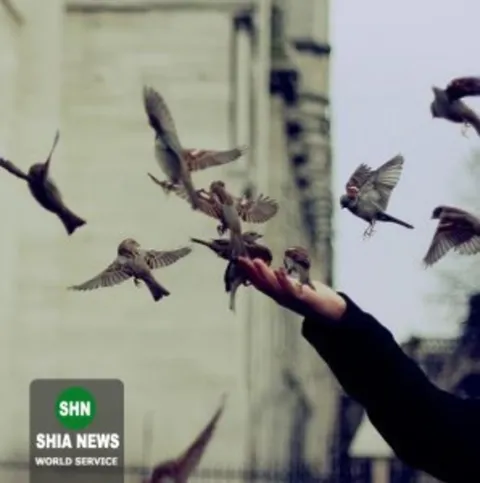 آزادى از منظر شیعه