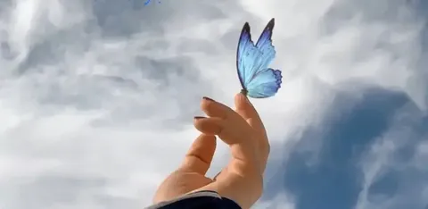 اَلرِّفْقُ يَفُلُّ حَدَّ يقل جد اَلْمُخَالَفَة | نرمى به سختى...